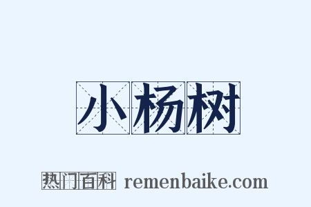 小杨树是什么意思的图片